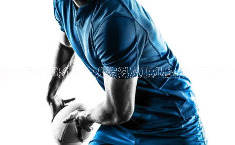 非凡体育app宇信科技德森足球运动员个人资料及职业经历全面解析