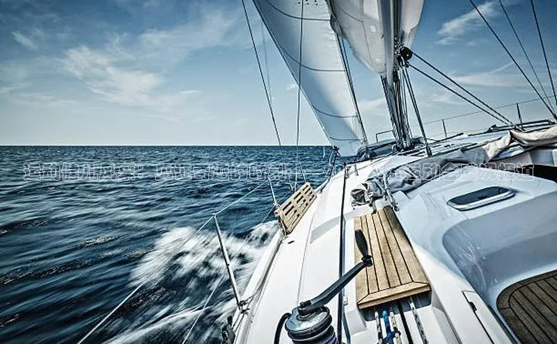 非凡体育官网入口顺丰运动健儿风采：见证奇迹的时刻——2023年度运动会盛况报道