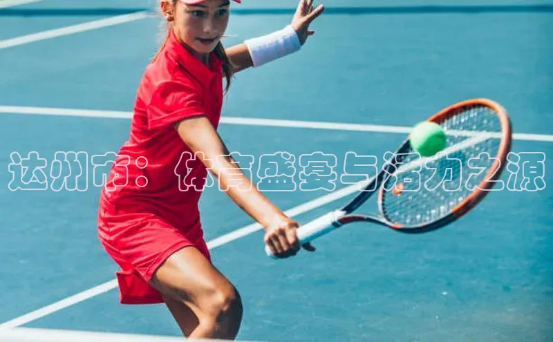 非凡体育app雷柏科技达州市：体育盛宴与活力之源