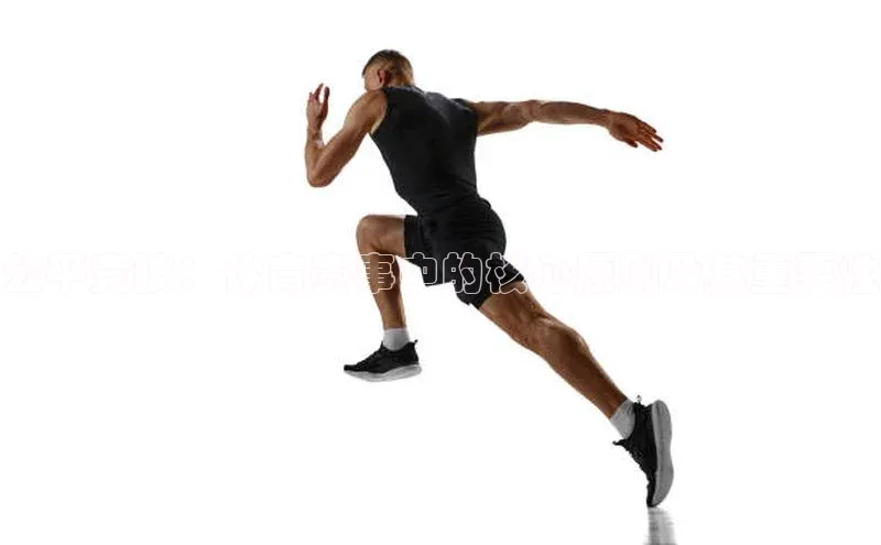 2121非凡体育最新版本更新内容路畅科技公平竞技：体育赛事中的核心原则及其重要性