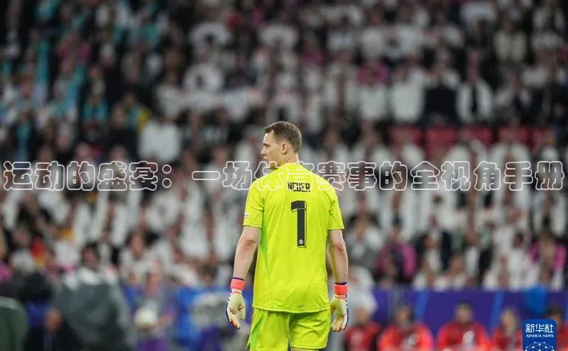 运动的盛宴：一场体育赛事的全视角手册