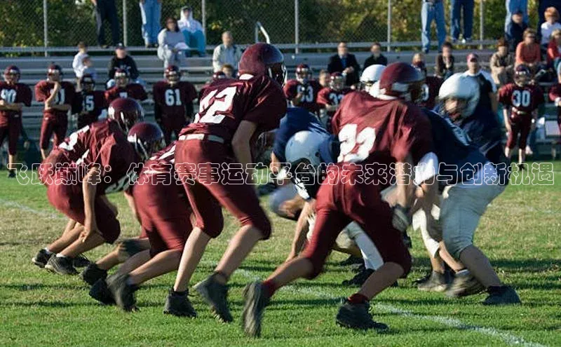 飞跃巅峰：体育赛事运动平台的未来潜力与创新机遇