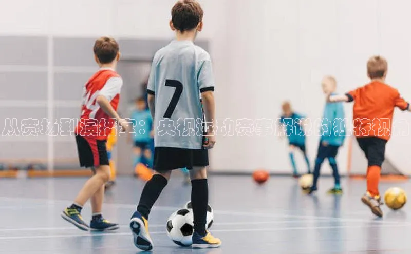 从赛场到演播室：央视运动赛事解说的独特视角