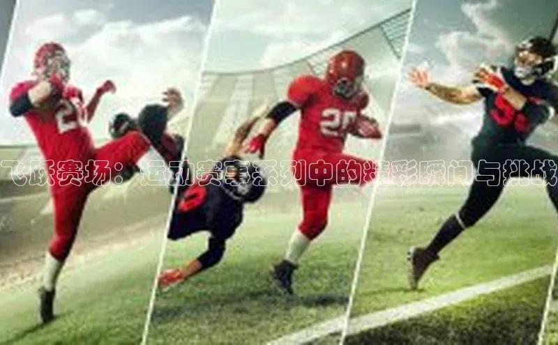 飞跃赛场：运动赛事系列中的精彩瞬间与挑战