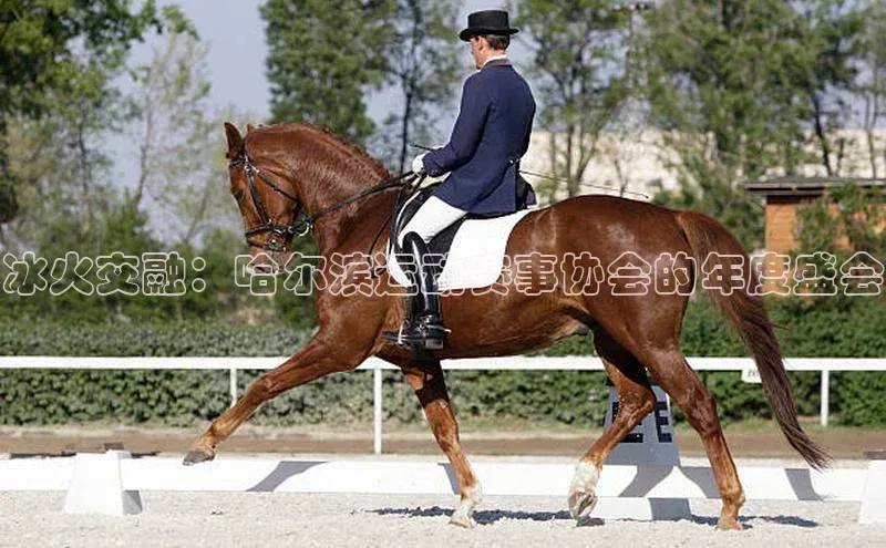 冰火交融：哈尔滨运动赛事协会的年度盛会