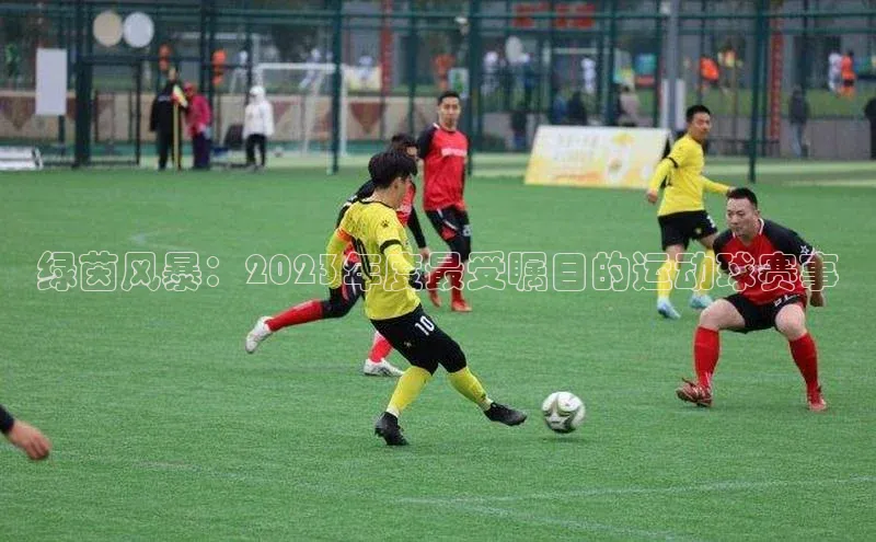 绿茵风暴：2023年度最受瞩目的运动球赛事