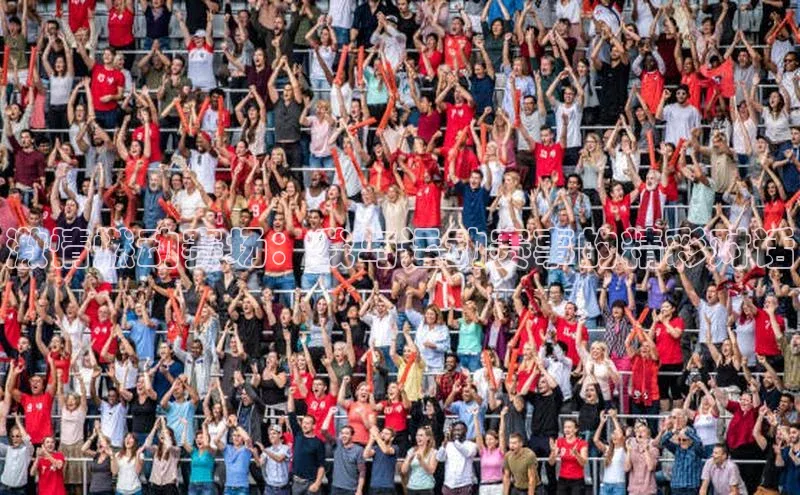 激情燃动赛场：我与运动赛事的精彩对话