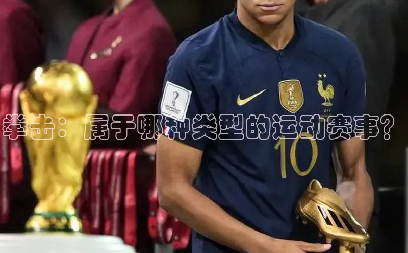 拳击：属于哪种类型的运动赛事？