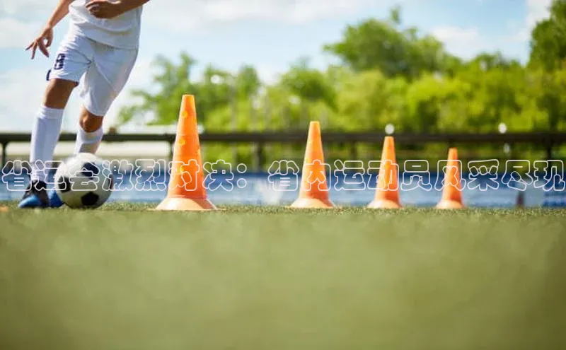 省运会激烈对决：省内运动员风采尽现