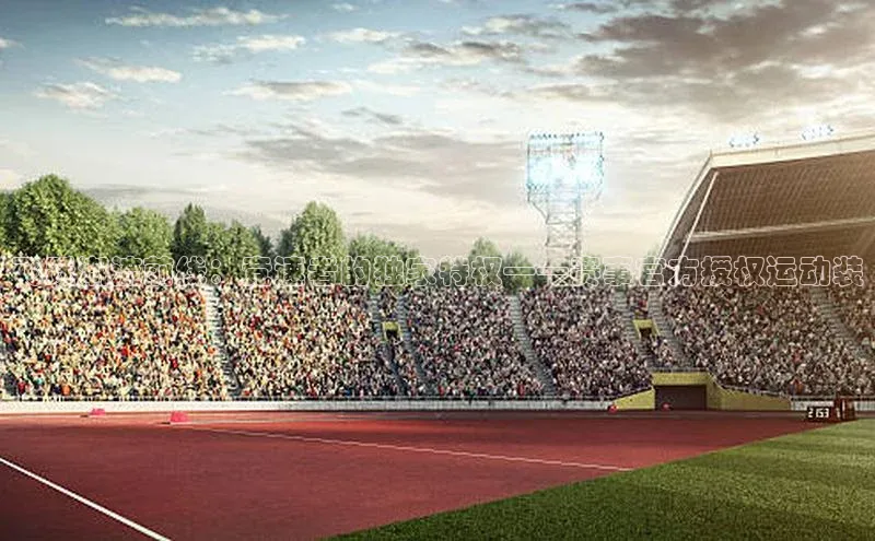 飞跃潮流前线：竞速者的独家特权——赛事官方授权运动装