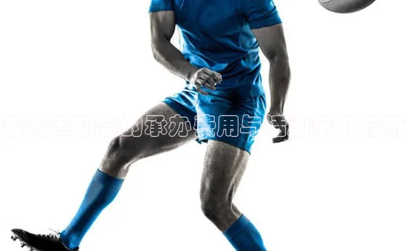 云南运动会的承办费用与活动策划分析