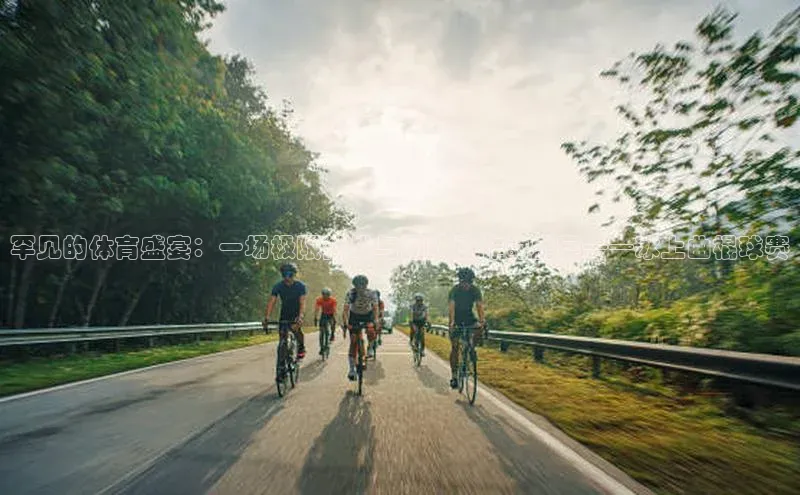 罕见的体育盛宴：一场极限挑战与团队协作的盛宴——冰上曲棍球赛